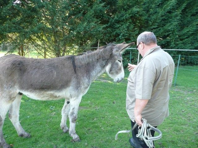 Balthazar et leonard Arrivee (5).jpg